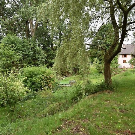 Saint-Die-des-Vosges Serendipity Bed&Breakfast מראה חיצוני תמונה