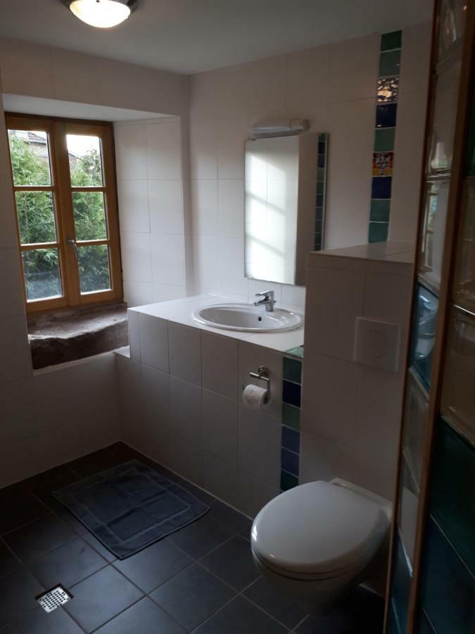 Saint-Die-des-Vosges Serendipity Bed&Breakfast מראה חיצוני תמונה