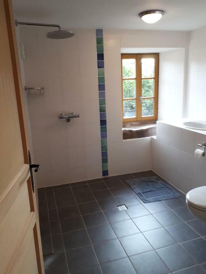 Saint-Die-des-Vosges Serendipity Bed&Breakfast מראה חיצוני תמונה