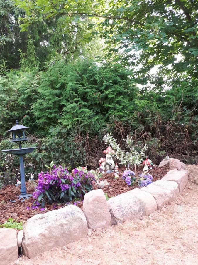 Saint-Die-des-Vosges Serendipity Bed&Breakfast מראה חיצוני תמונה