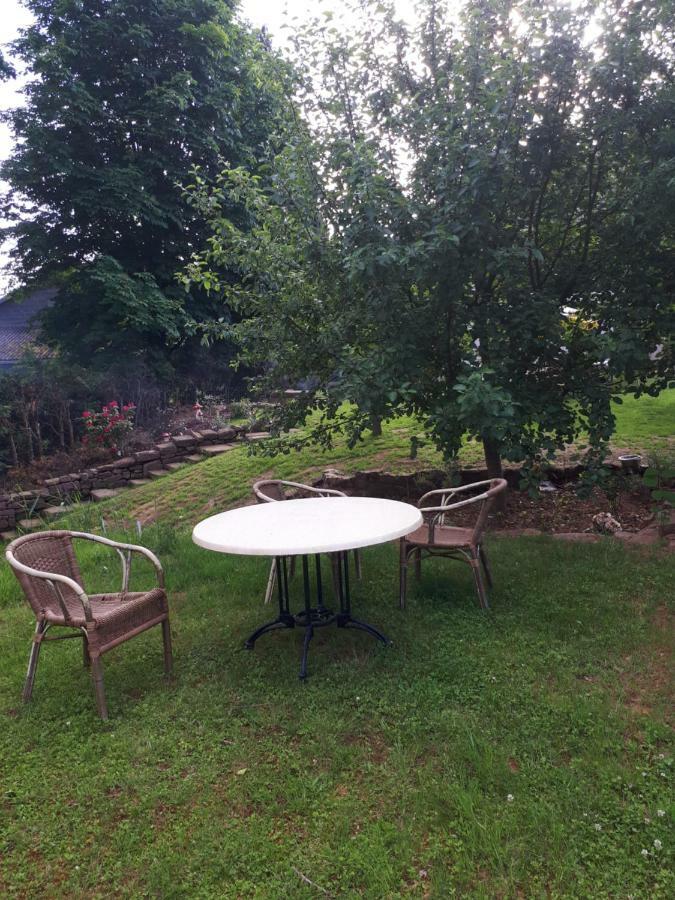 Saint-Die-des-Vosges Serendipity Bed&Breakfast מראה חיצוני תמונה
