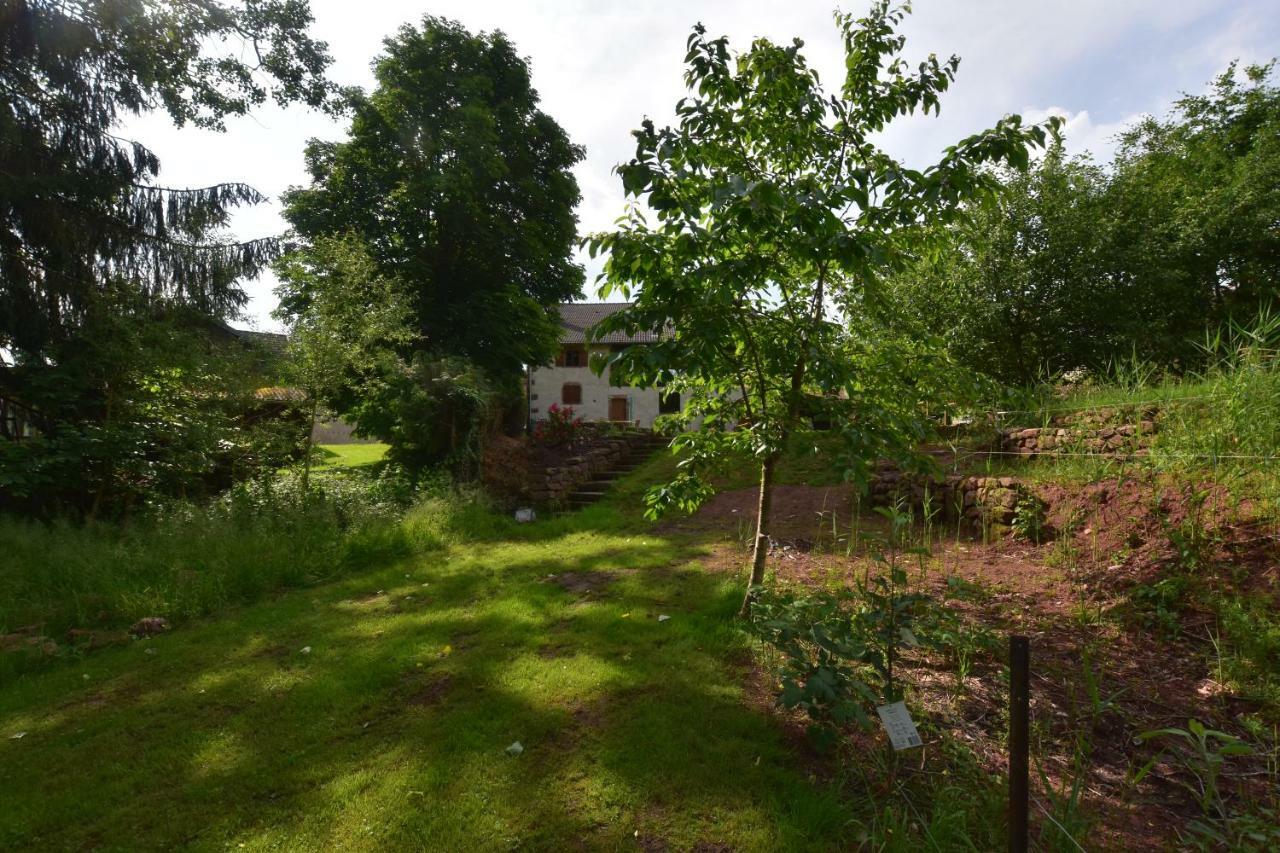 Saint-Die-des-Vosges Serendipity Bed&Breakfast מראה חיצוני תמונה