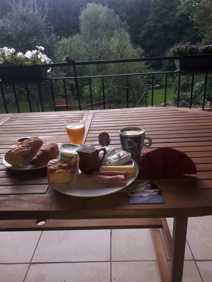 Saint-Die-des-Vosges Serendipity Bed&Breakfast מראה חיצוני תמונה