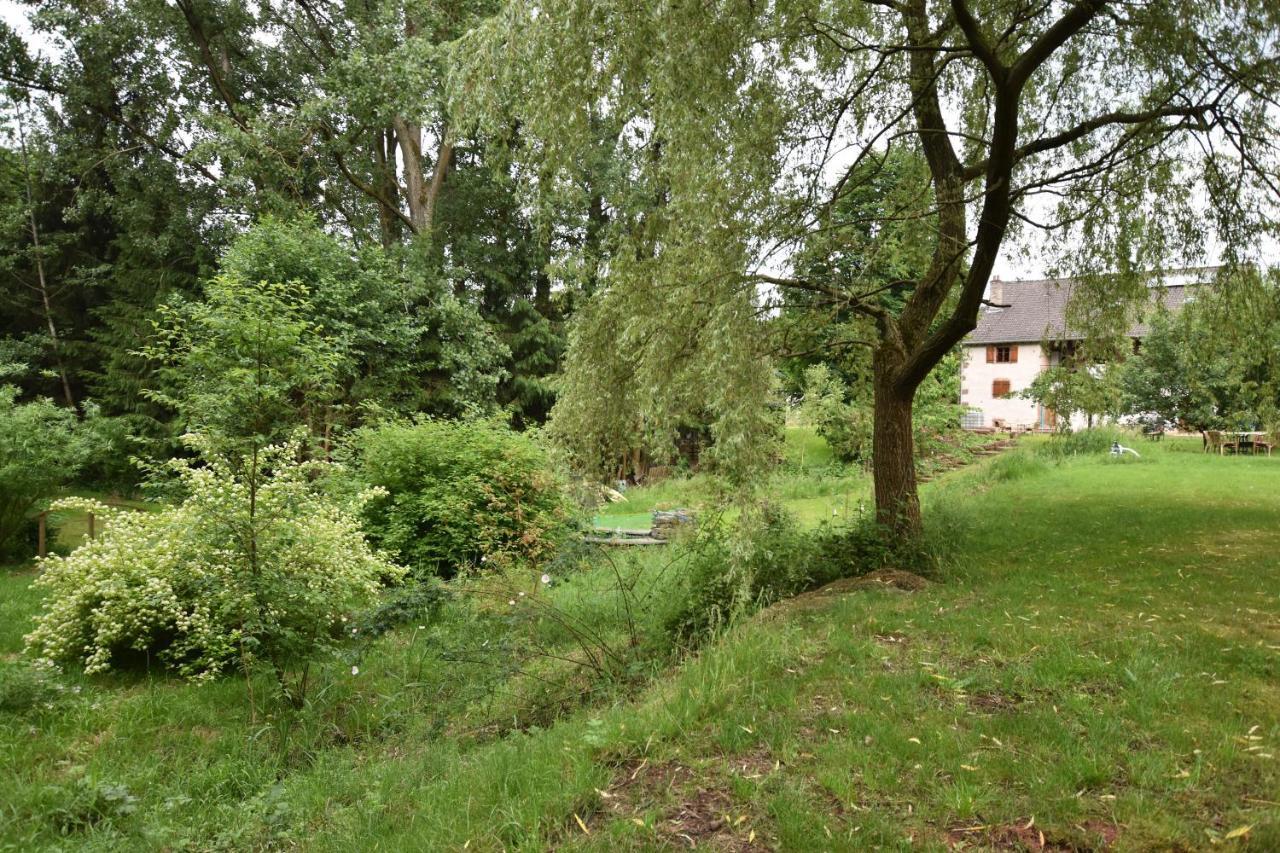 Saint-Die-des-Vosges Serendipity Bed&Breakfast מראה חיצוני תמונה